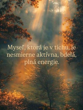 Keď stíšime vnútorný hluk, objavuje sa čistá sila prítomného okamihu. Ticho nie je prázdne – je plné odpovedí. 🌿 #ticho...